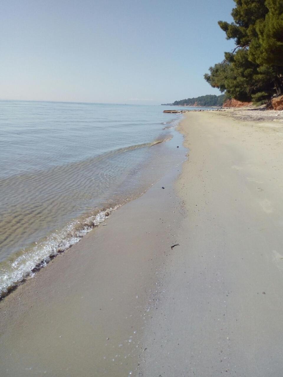 Апартаменты Sithonia Alekos Luxury Experience Метаморфоси Экстерьер фото
